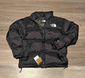 Campera The Nort Face 2026 EDITION